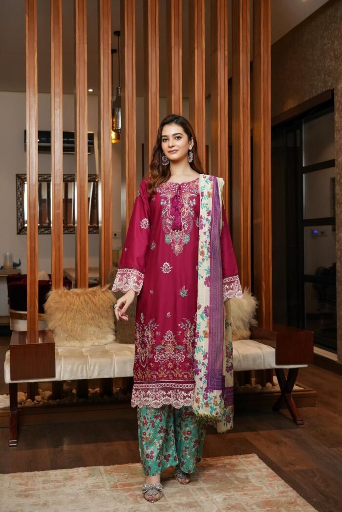 Aleena Airjet Embroidered Suit - Image 4