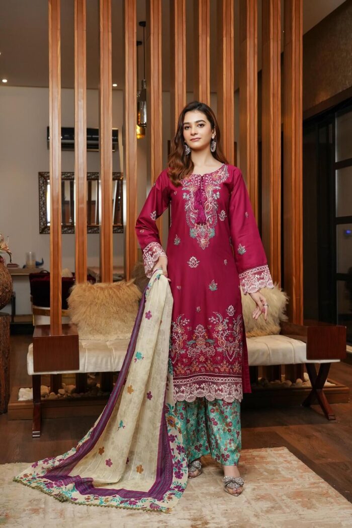 Aleena Airjet Embroidered Suit - Image 1
