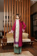 Aleena Airjet Embroidered Suit - Image 2