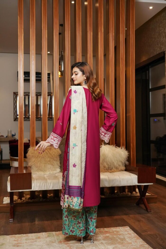 Aleena Airjet Embroidered Suit - Image 2