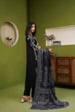 Eliza Dhanak Embroidered Suit - Image 2
