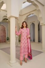 Dhanak Embroidered Suit Winter 11 - 10 - Copy