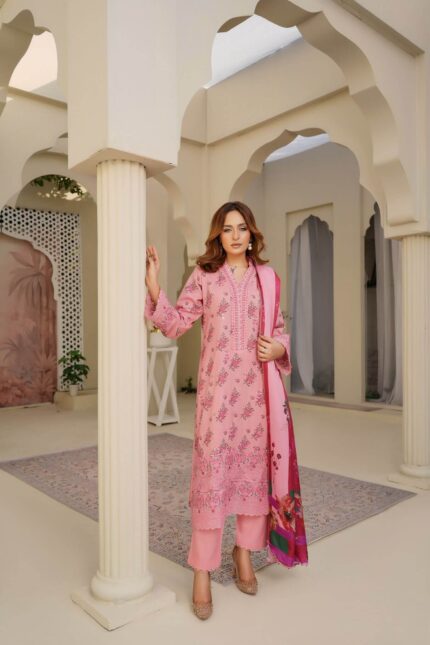 Dhanak Embroidered Suit Winter 11 - 10 - Copy