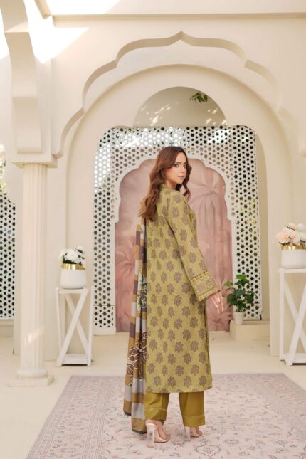 Dhanak Embroidered Suit Winter 11 - 14