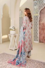 Dhanak Embroidered Suit Winter 11 - 2