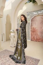 Dhanak Embroidered Suit Winter 11 - 4