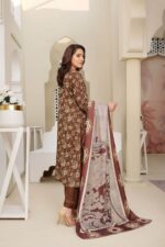 Dhanak Embroidered Suit Winter 11 - 6 - Copy
