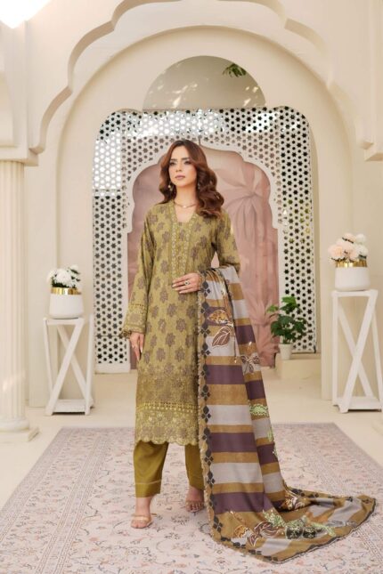 Dhanak Embroidered Suit Winter 11 - 8