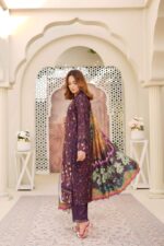 Dhanak Embroidered Suit Winter 11 - 9 - Copy