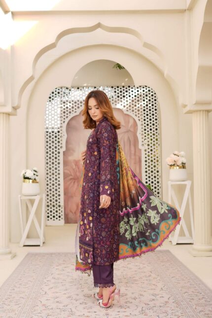 Dhanak Embroidered Suit Winter 11 - 9 - Copy