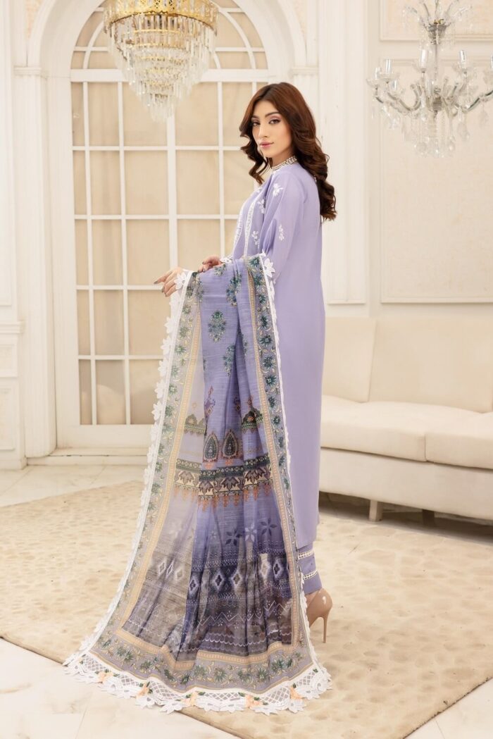 Aleena Airjet Linen Embroidered Suit  - Image 2