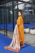 Amara Dhanak Embroidered Suit - Image 2
