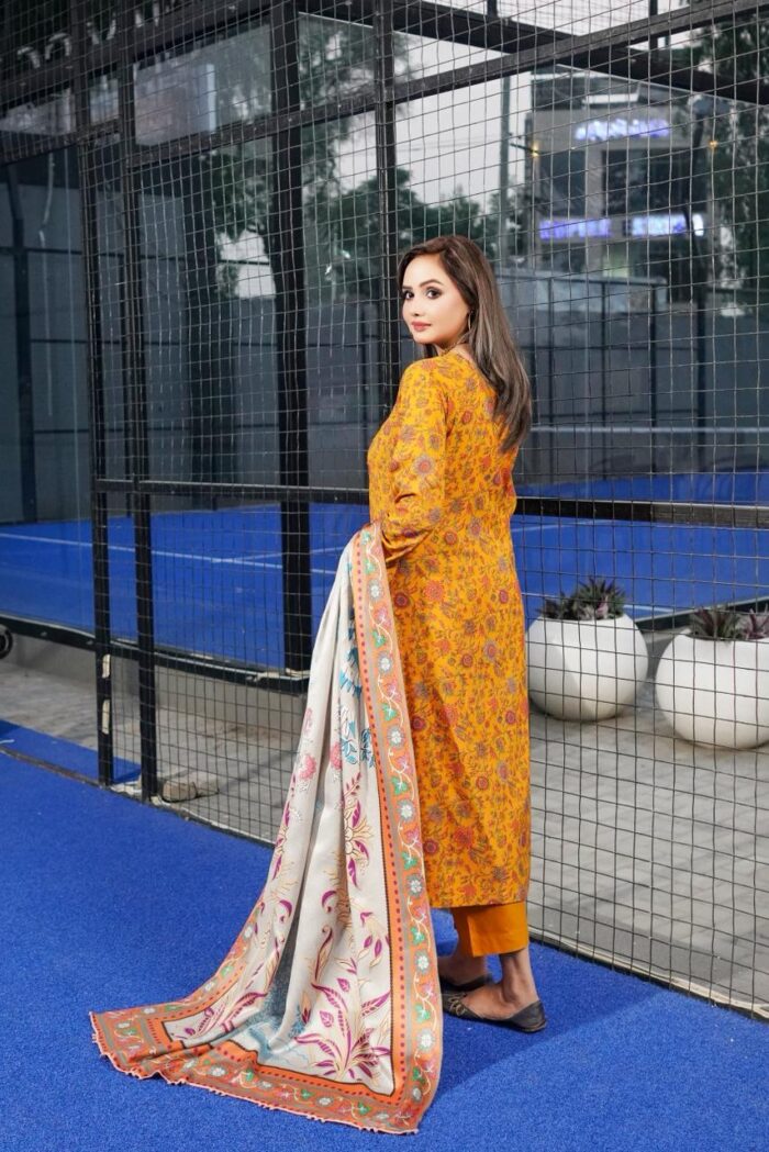 Amara Dhanak Embroidered Suit - Image 2