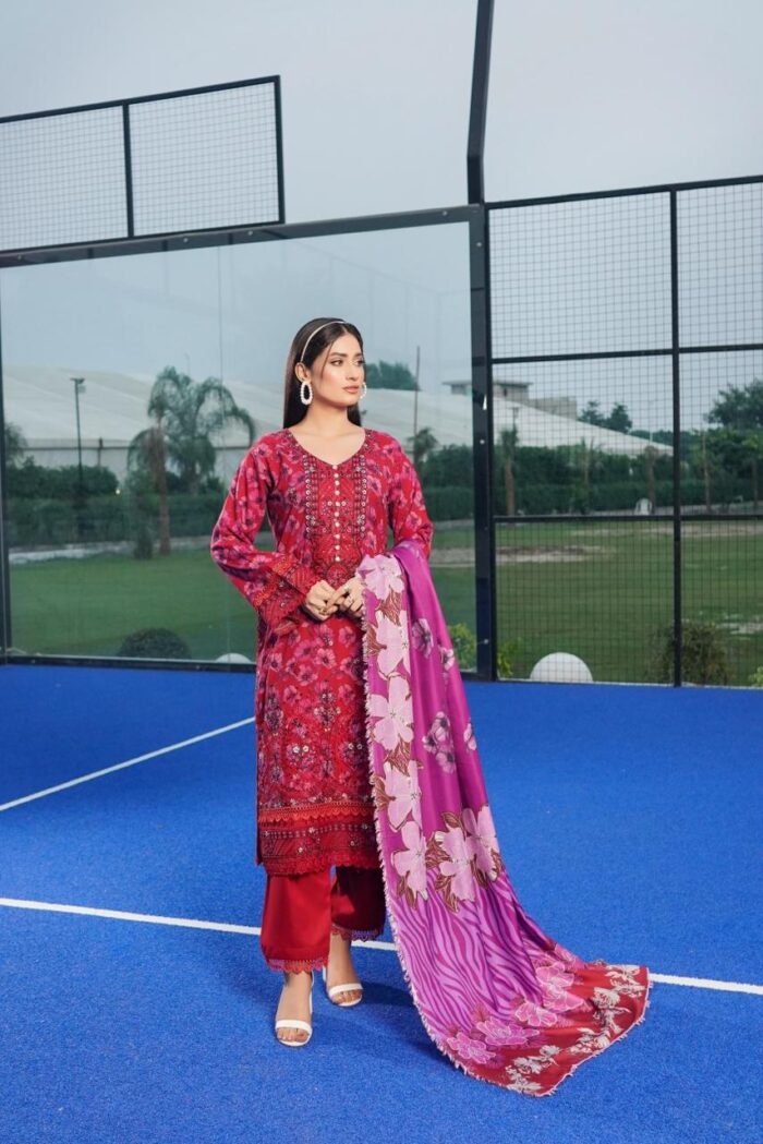 Aiza Dhanak Embroidered Suit - Image 1