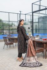 Emaan Dhanak Embroidered Suit - Image 3