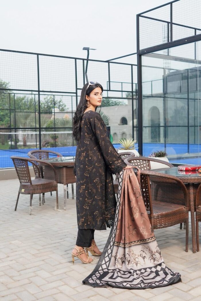Emaan Dhanak Embroidered Suit - Image 3