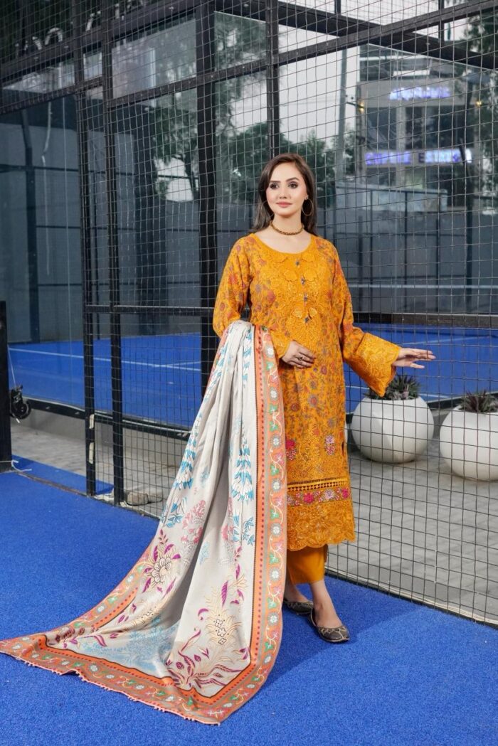 Amara Dhanak Embroidered Suit - Image 1