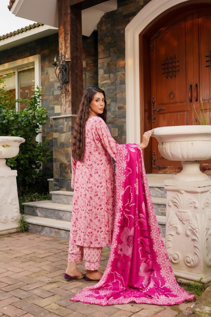 Aira Winter Linen Embroidered Suit - Image 2