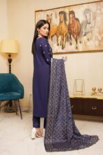 Meher Dhanak Embroidered Suit - Image 2
