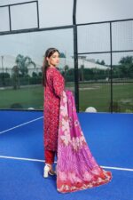 Aiza Dhanak Embroidered Suit - Image 2
