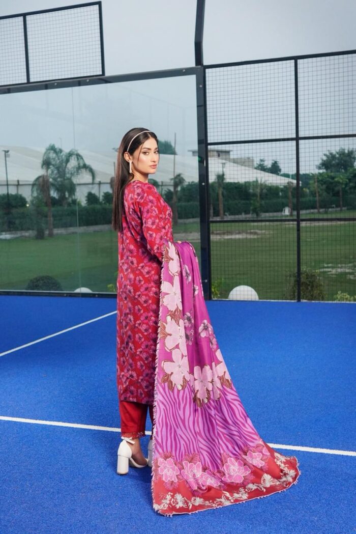 Aiza Dhanak Embroidered Suit - Image 2