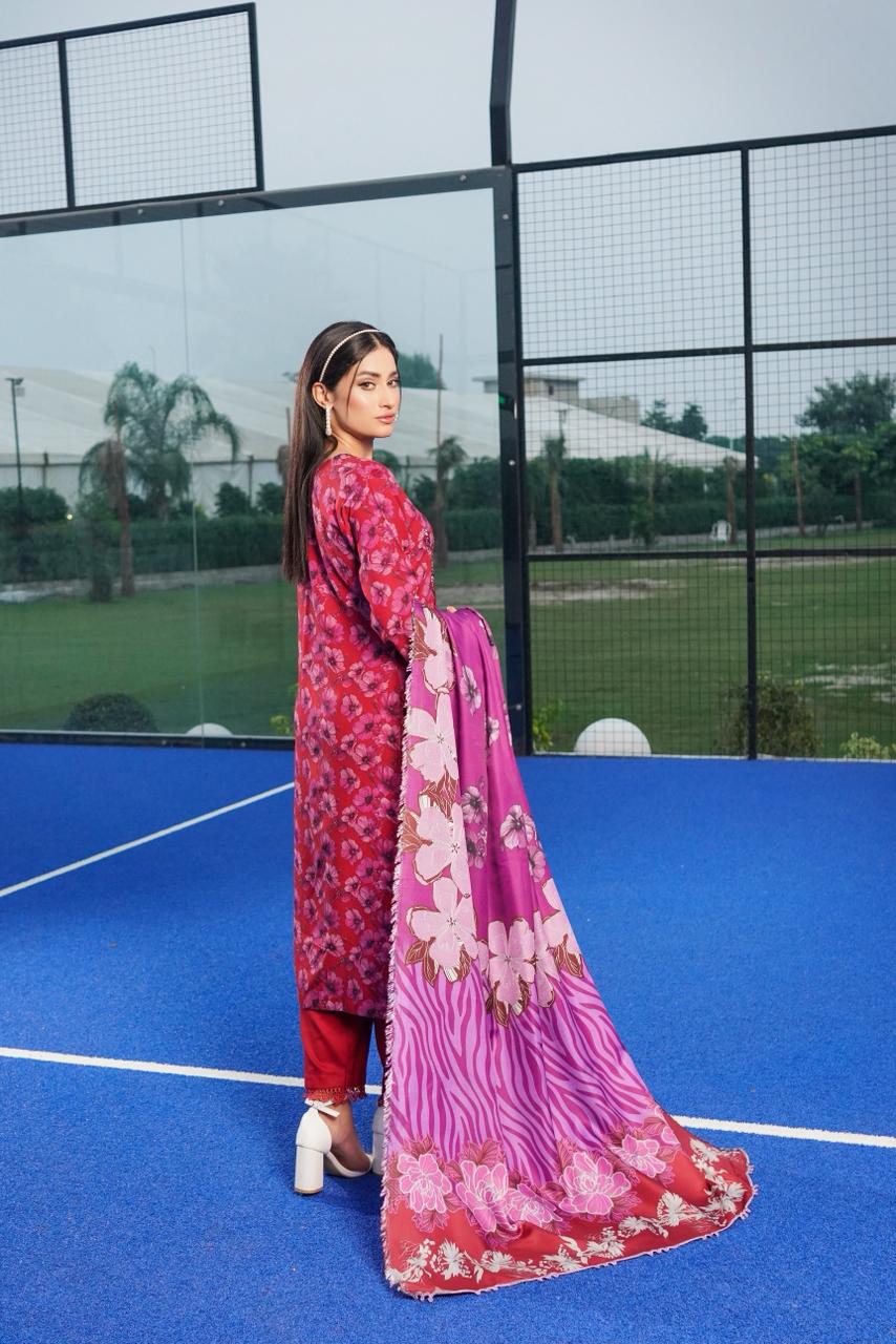 IMG-20251013-WA0050 Aiza Dhanak Embroidered Suit - Image 2
