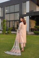 Aizaa Winter Linen Embroidered Suit - Image 2