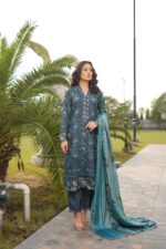Aira Winter Dhanak Embroidered Suit