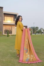 Areeba Winter Dhanak Suit - Image 2