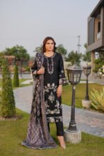 Afsheen Winter Dhanak Suit