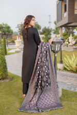 Afsheen Winter Dhanak Suit - Image 2