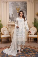 Zara Luxury Chiffon Party Dress