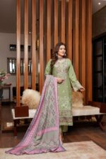 Alina Dhanak Embroidered Suit