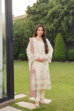Raniya Dhanak Embroidered Suit