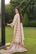 Raniya Dhanak Embroidered Suit - Image 2