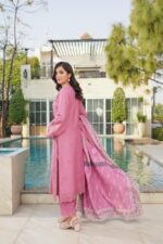 Aleena Soft Pastel Chikankari Suit - Image 2