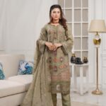 Zimal Luxe Party Chiffon Suit