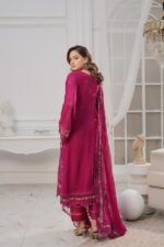 Arisha Modern Glam Chiffon Suit - Image 2