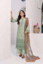 Amara Grace Chikankari Suit