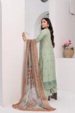 Amara Grace Chikankari Suit - Image 2
