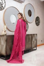 Sarah Aroosa Royal Chiffon Suit - Image 2