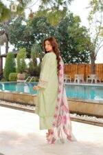 Elara Premium Festive Suit - Image 2