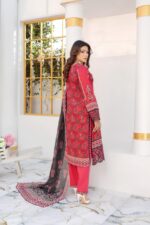 Raima Emerald Charm Lawn Suit - Image 2