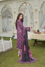Alyana Azure Lawn Suit - Image 2