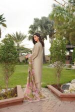 Rimsha Royal Charm Suit - Image 2