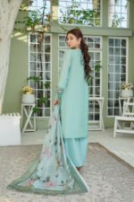 Roha Allure – Elyra Premium Festive Collection - Image 2