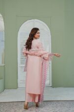 Roha Allure – Meherza Signature Festive Suit - Image 2
