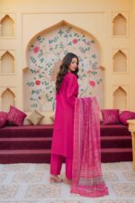 Rumaisa Luxe – Elanora Royal Festive Suit - Image 2