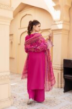 Raina Meher – Festive Lawn Embroidered Suit - Image 2