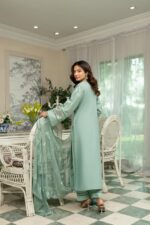 Arooshy Ivory Pearl Suit - Image 2